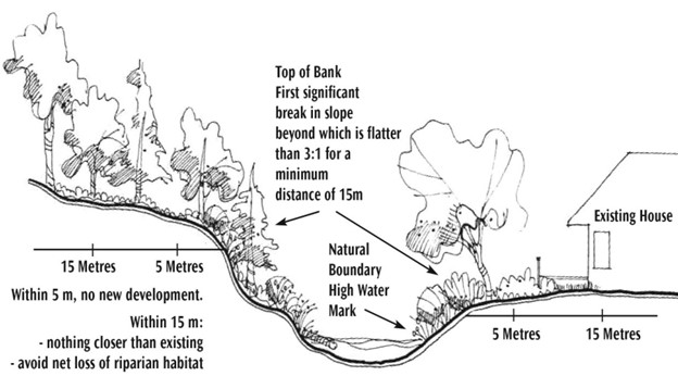 Top of Bank