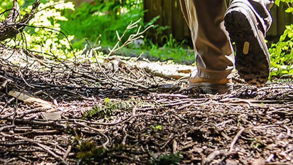 A ground level shot of a pair of hiking boots walking away on a forest path.