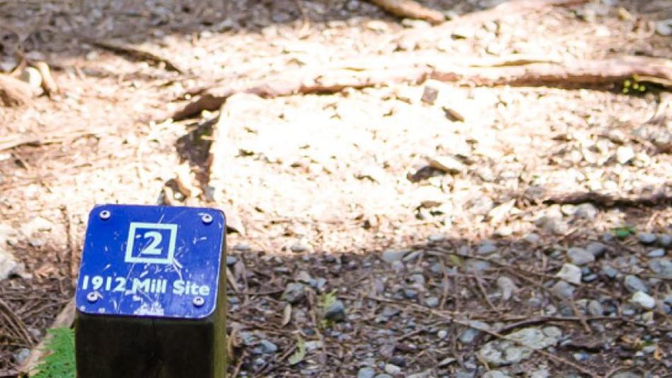 A blue trail marker for the 1912 Mill Site along the Brother's Creek Forestry Heritage Walk.