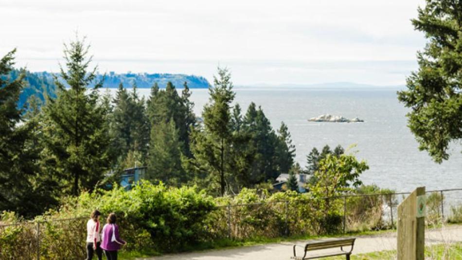 The Seaview Walk over looking a body of water with a small iceberg floating in the background. 