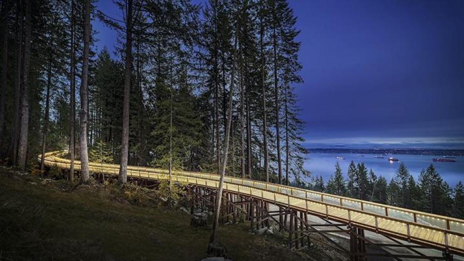 Trestle bridge going into forest