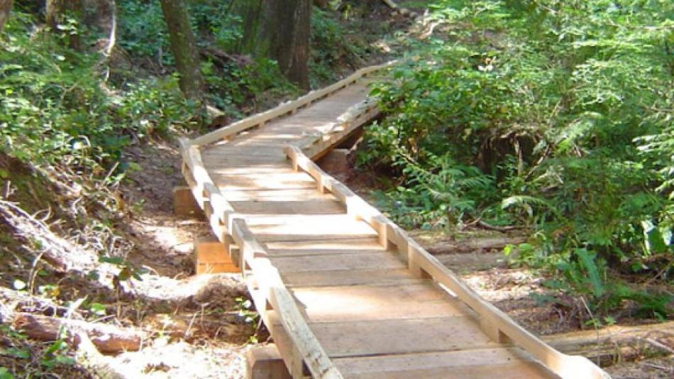 A portion of the Whyte Lake Trail that has a wooden pathway.