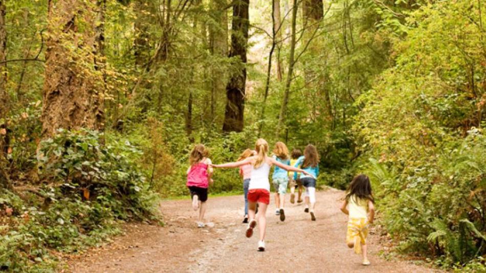 A group of children run down a trail through a forest. 
