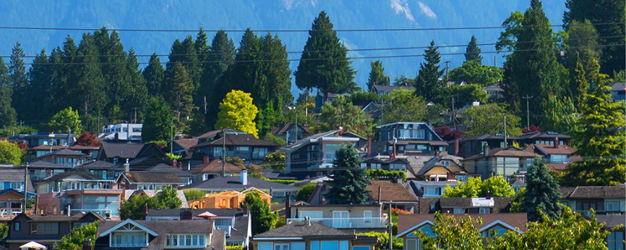 Houses on a hill with a mountain in the background